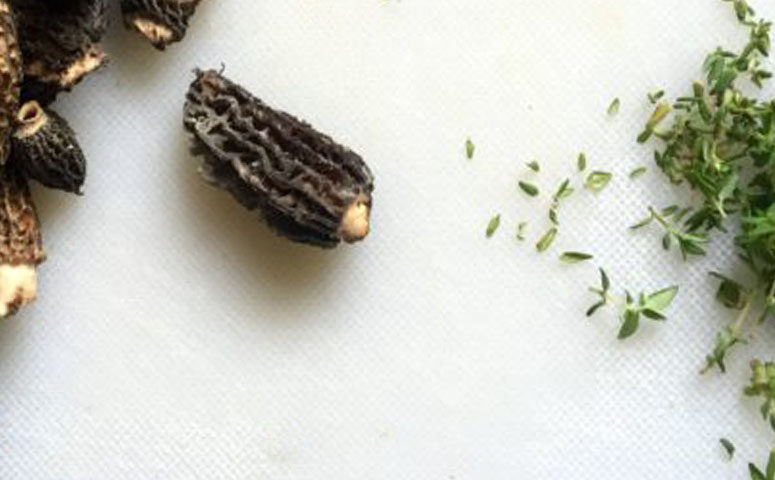 What CAN you eat off the ground?