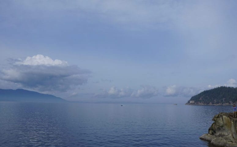 Video Post: the World is Your Oyster! Just Try One…