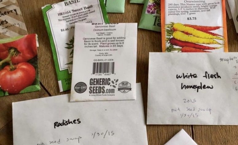 Pro-Tip Tuesday: Free Seeds for Gardening, Summer Dreams Included!