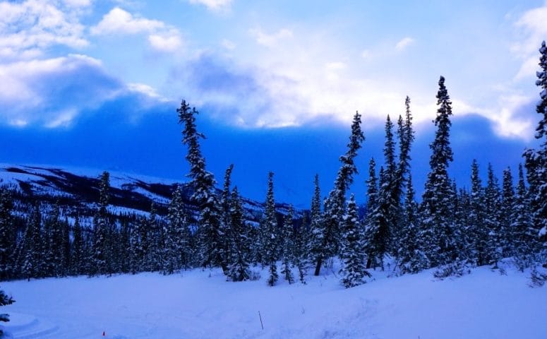 Snowshoeing & Other Winter Fun in Denali National Park  Alaskan Adventures Part 1