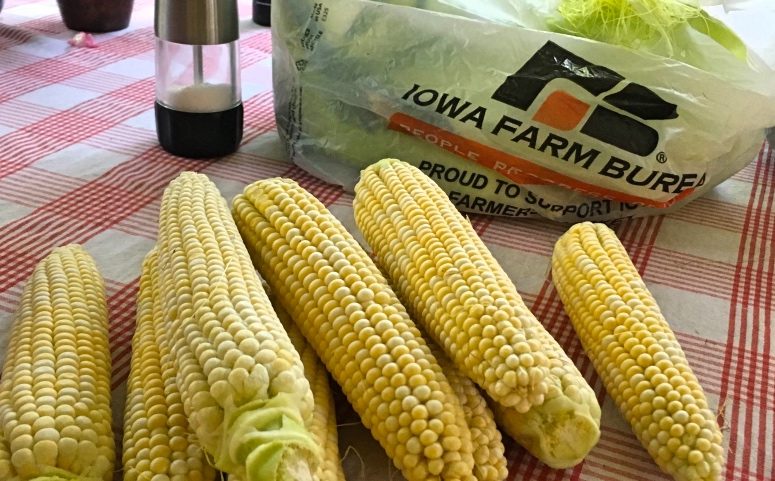 How long do you boil corn? A guest blog post by Susannah Lewis
