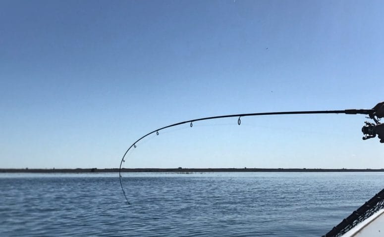 Fishing with Ross Outdoor AdventuresA Review