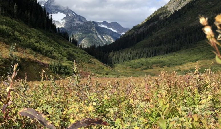 UPWC:  Easy Pass to Colonial Creek